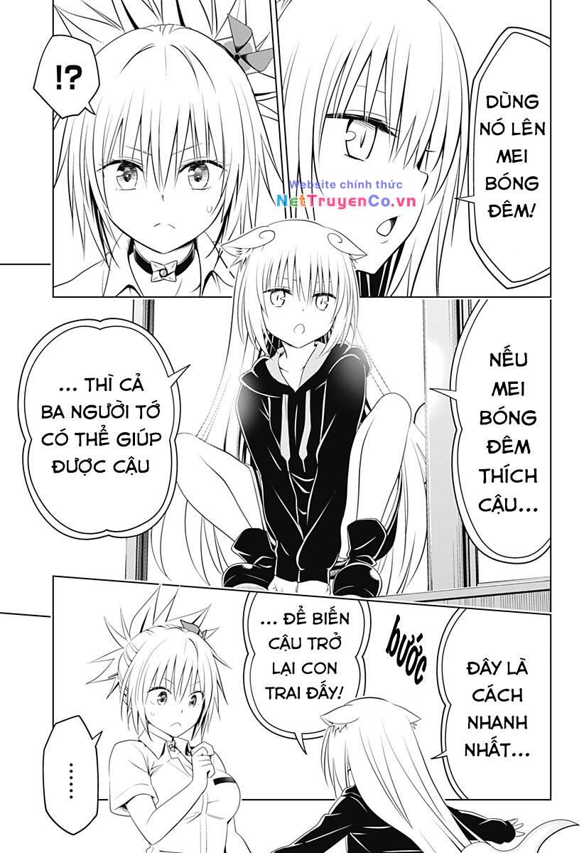 Trang 7