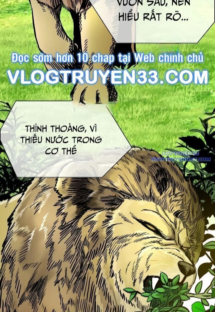 Trang 41