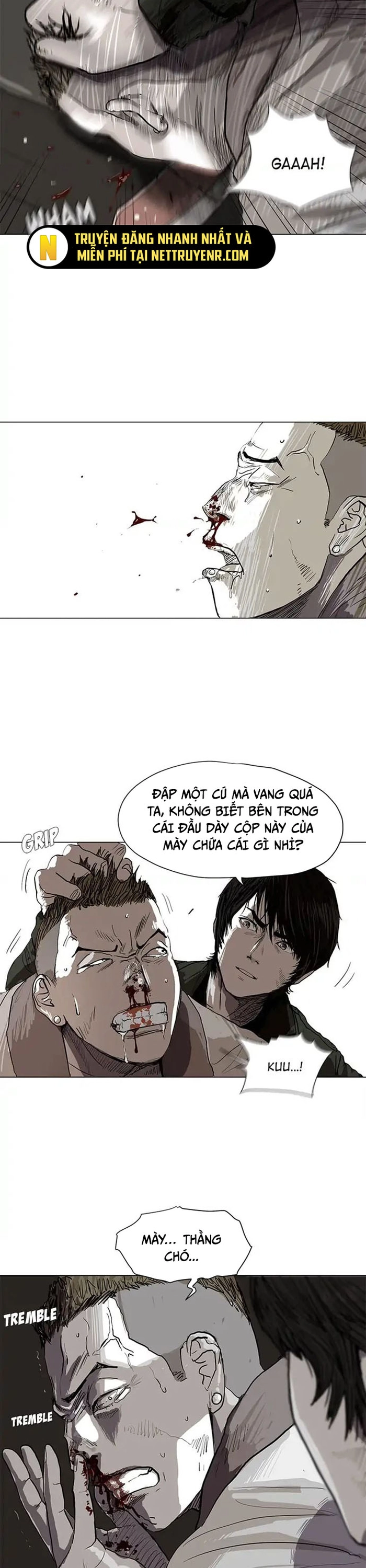 Trang 13