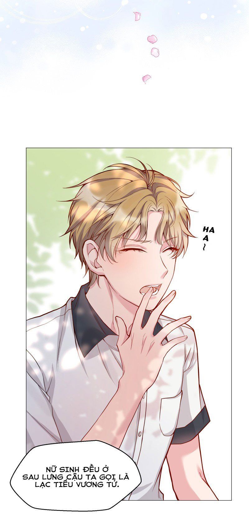 Trang 19