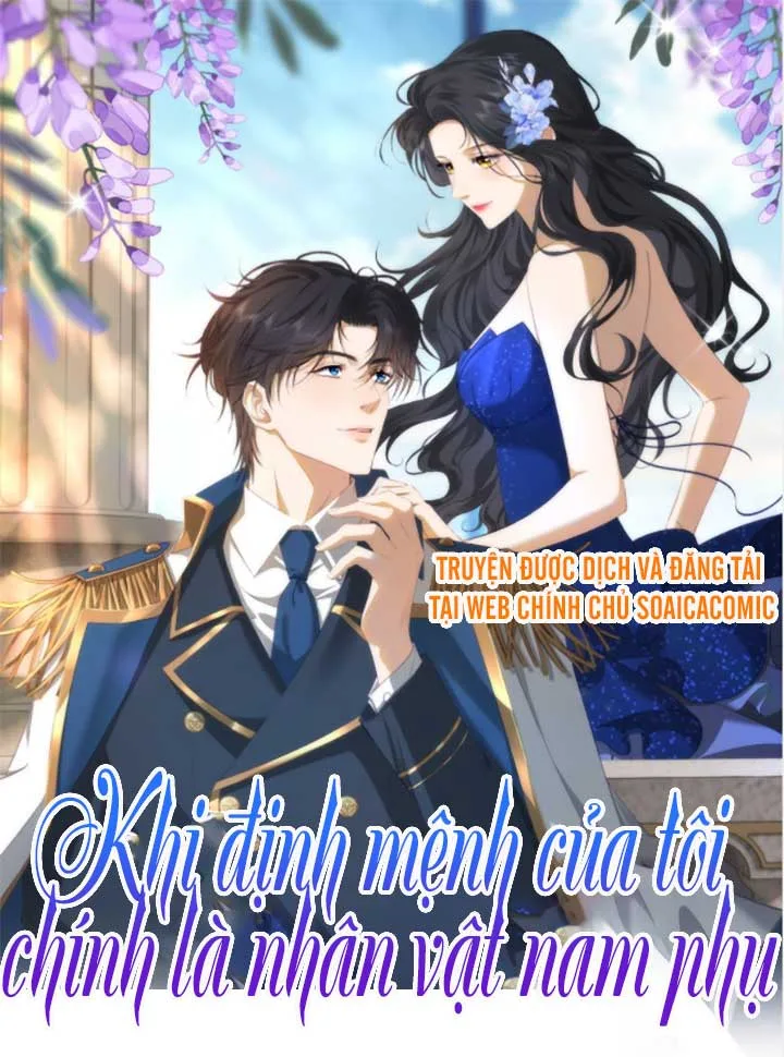 Khi Định Mệnh Của Tôi Chính Là Nhân Vật Nam Phụ