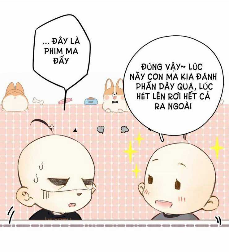 Trang 15