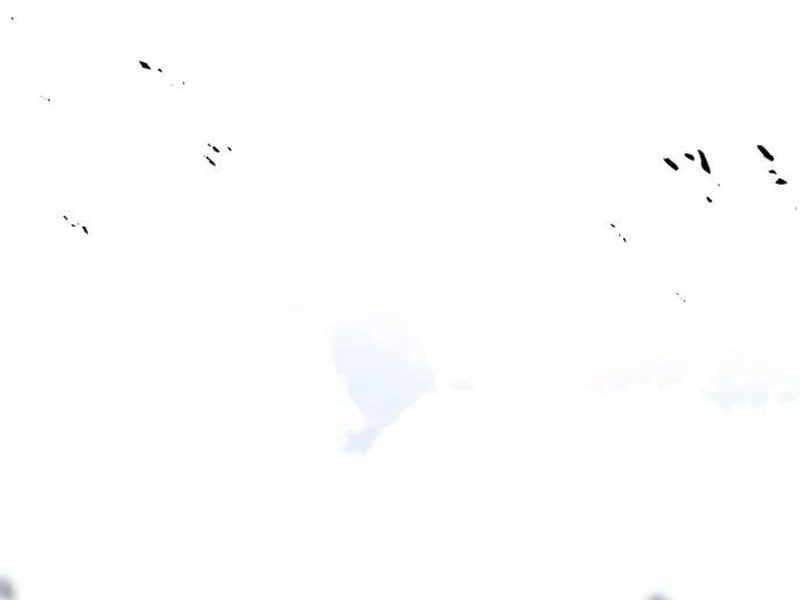 Trang 230