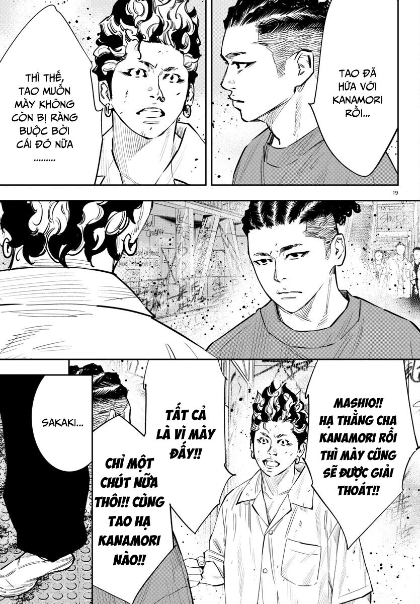 Trang 19