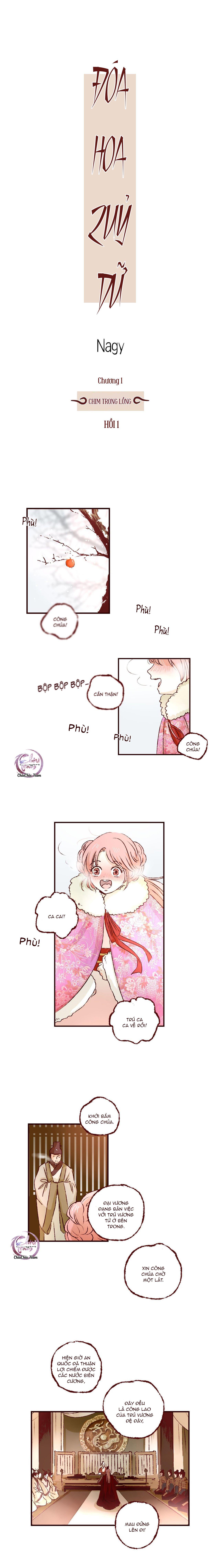 Trang 7