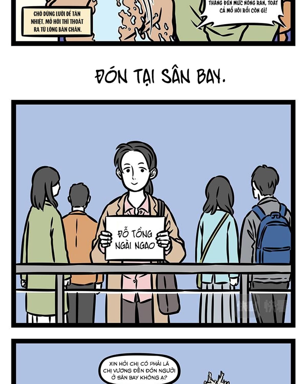 Trang 16
