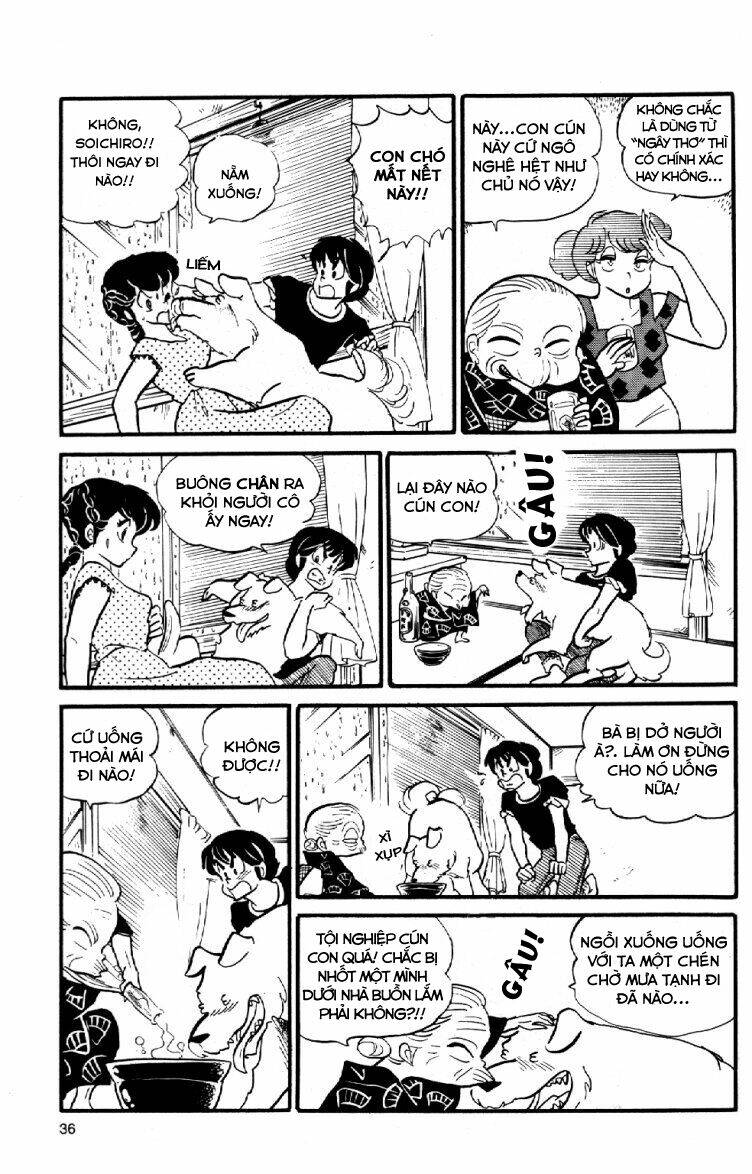 Trang 17