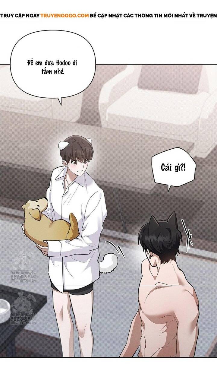 Trang 50