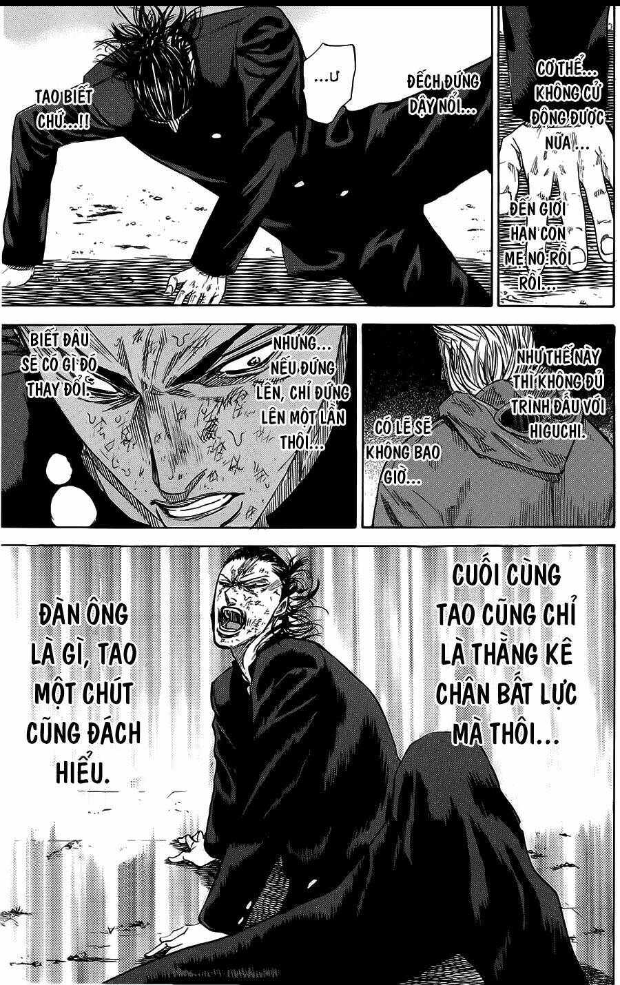 Trang 12