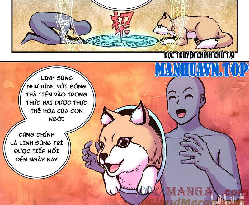 Trang 25
