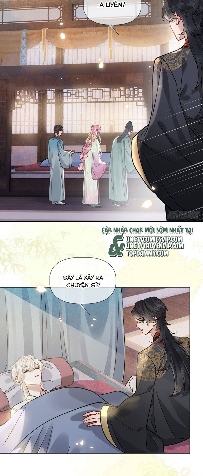 Trang 8